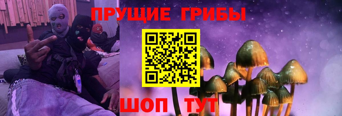 Галлюциногенные грибы MAGIC MUSHROOMS Джанкой